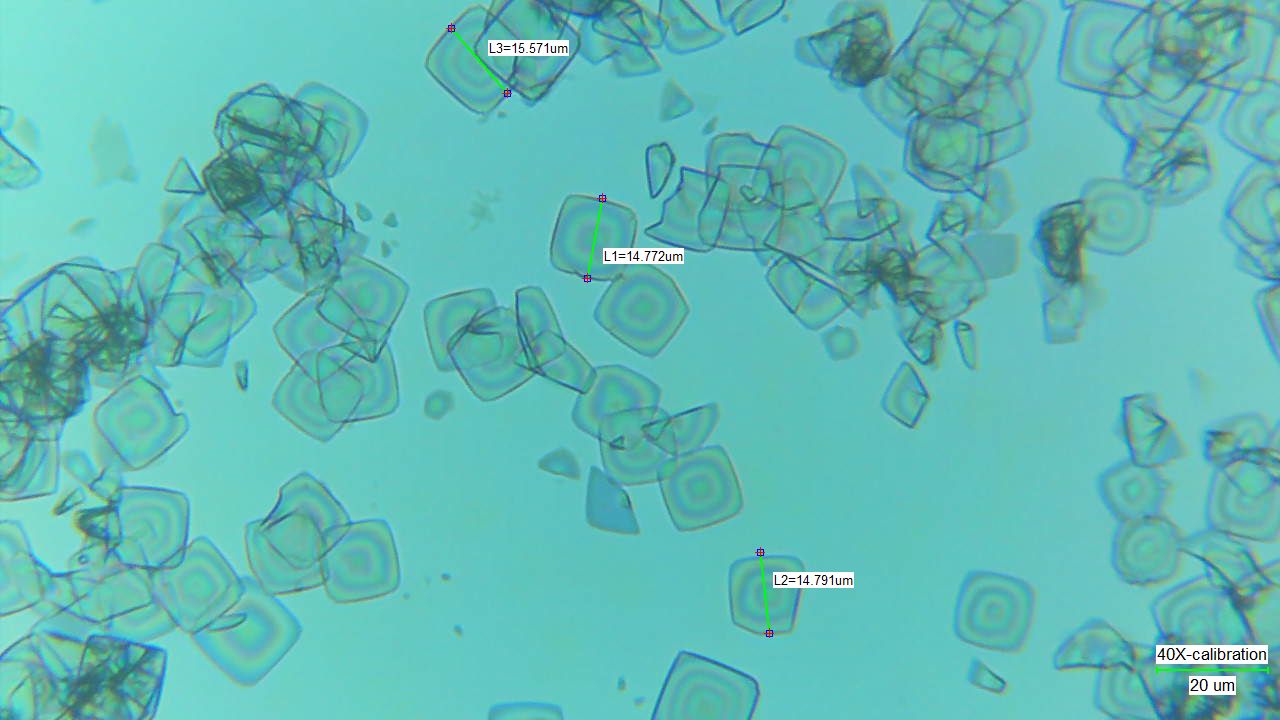 较大尺寸角状或方形 BiOCl 片晶