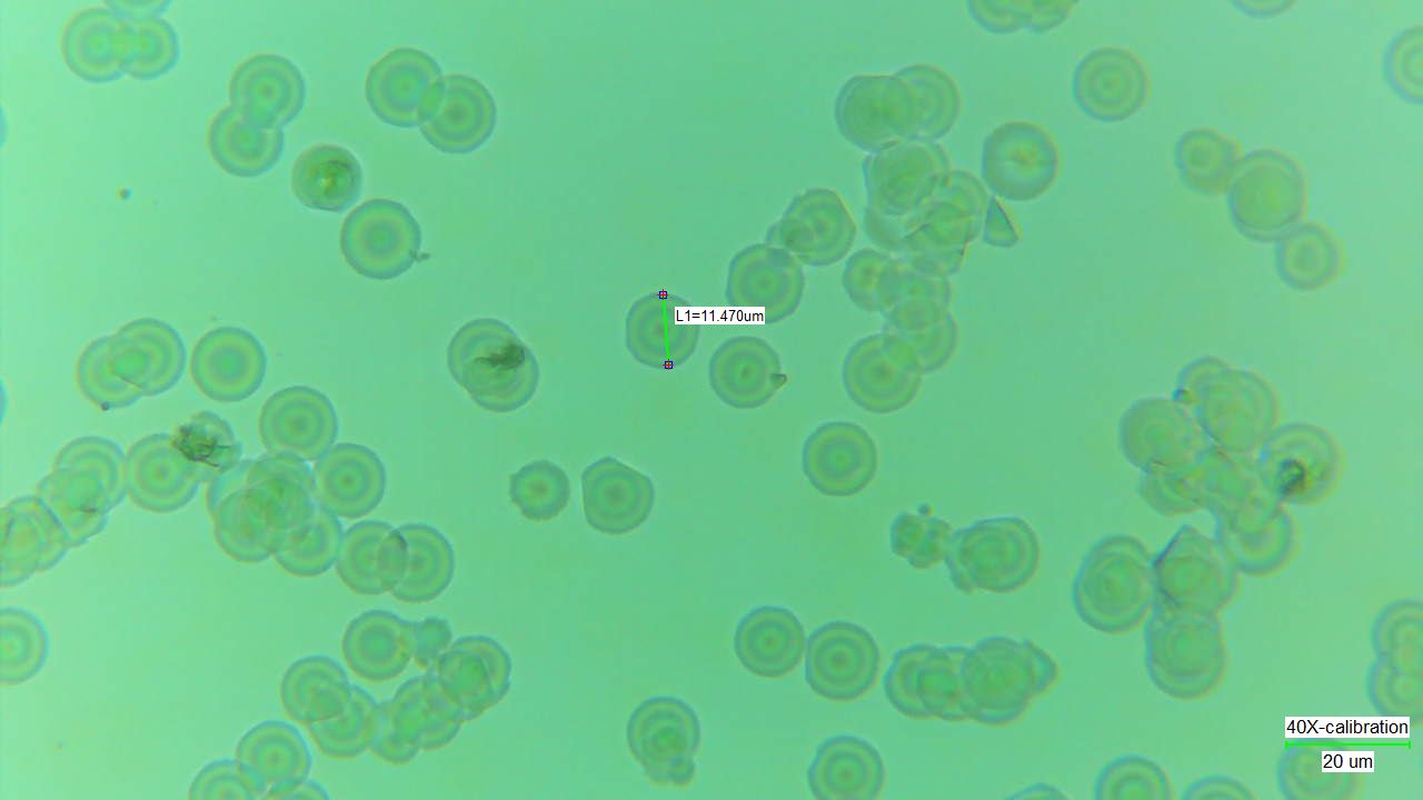Representative circular BiOCl platelets